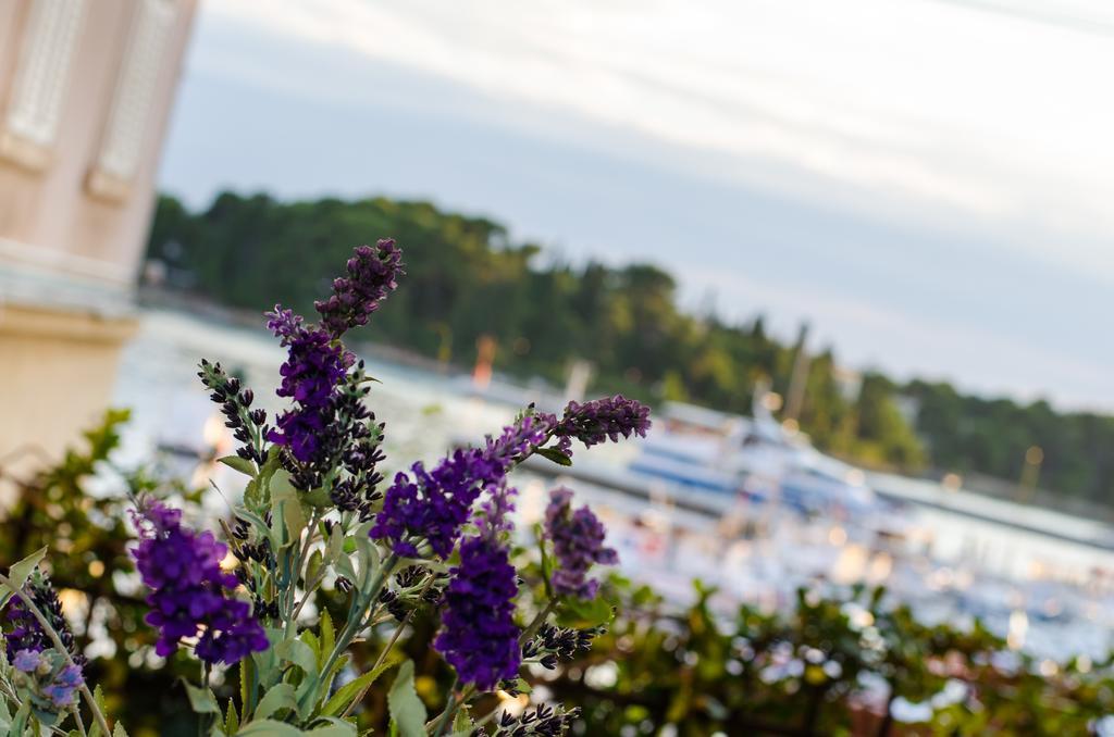 Apartment Noemi Rovinj Ngoại thất bức ảnh